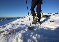 Grozljivo odkritje: pohodnik je naletel na mrtvo osebo