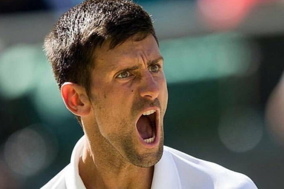 VIDEO: Đoković rjovel na brata in ga nagnal s stadiona (foto: Twitter/DjokerNole)
