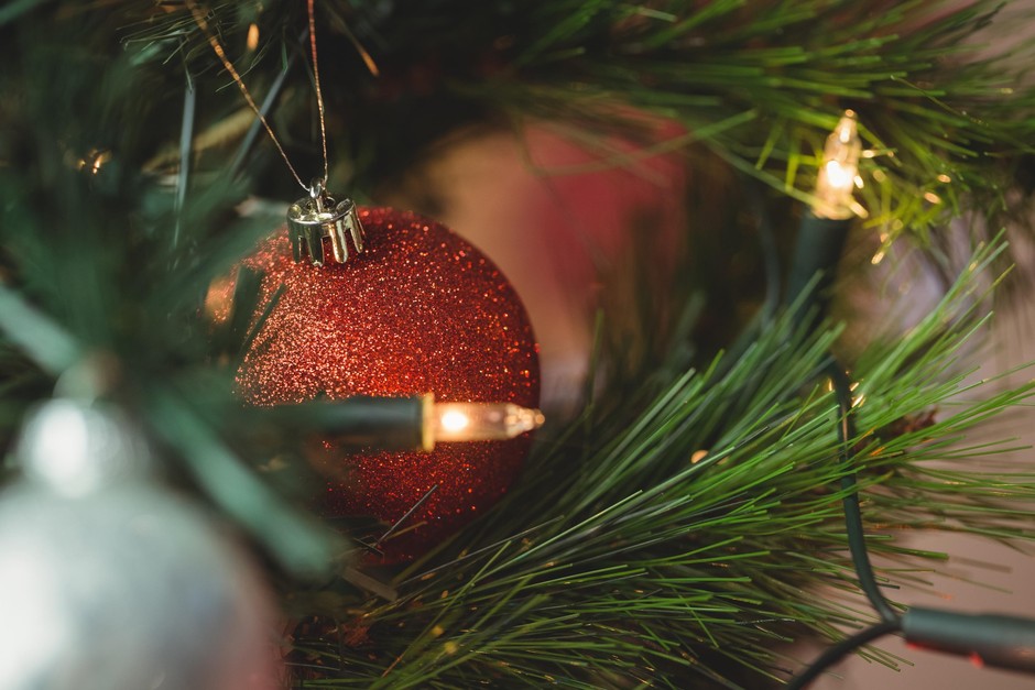 Ponovno posadite drevo Če ste kupili drevo v loncu, ga boste po božiču lahko preprosto presadili ali posadili v zemljo …