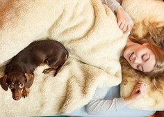 Ženske spijo najbolj kakovostno, če jim dela družbo pes – in ne partner!