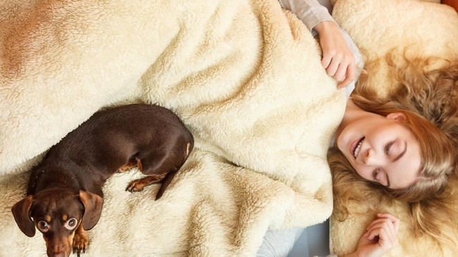 Ženske spijo najbolj kakovostno, če jim dela družbo pes – in ne partner! (foto: Profimedia)