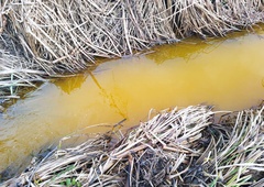 FOTO in VIDEO: V Hudinjo se je iztekala rumena snov, za kaj gre?