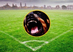 Grozljiva smrt nekdanjega reprezentanta: nogometaša do smrti pogrizli njegovi psi