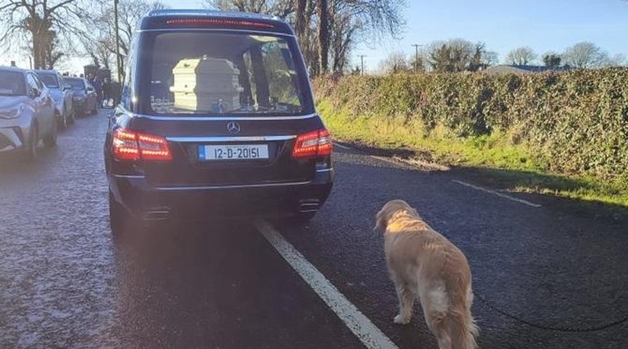 Zlata prinašalka hodila za krsto svoje ljube lastnice (foto: Tamara Gervasoni (na Twitter: Mike Magan))