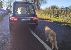 Zlata prinašalka hodila za krsto svoje ljube lastnice