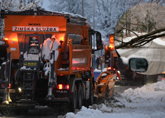 Več tisoč gospodinjstev ostalo brez elektrike: sneg podira drevesa in drogove