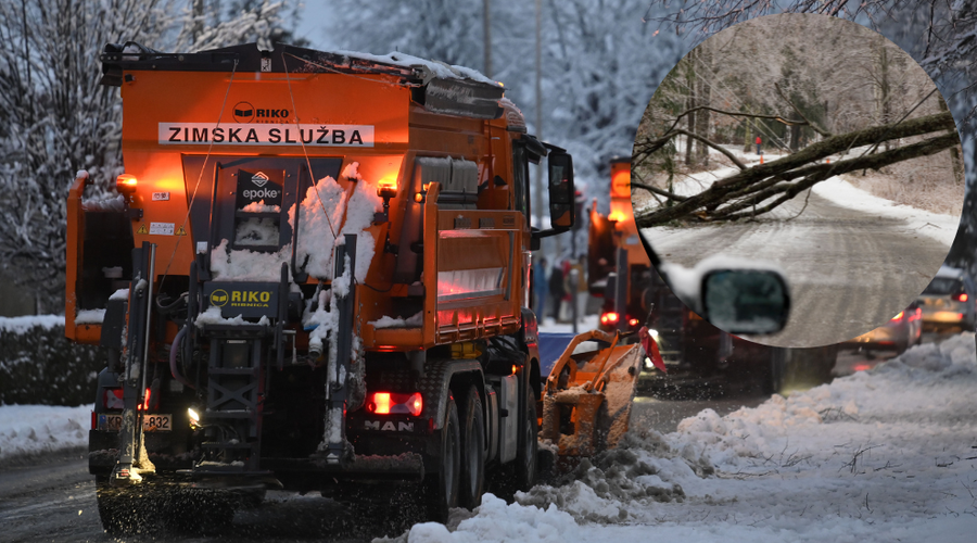 Več tisoč gospodinjstev ostalo brez elektrike: sneg podira drevesa in drogove (foto: Žiga Živulović jr./BOBO/Profimedia/fotomontaža)