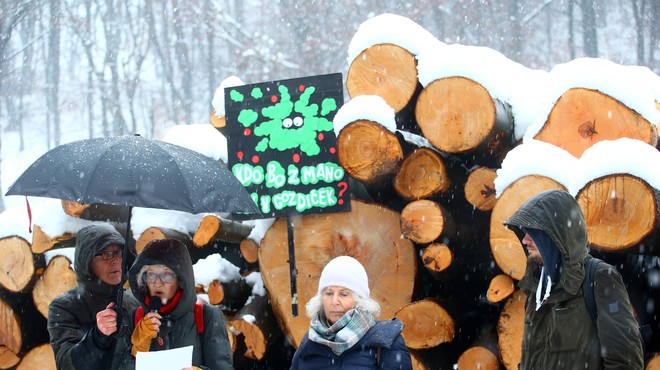 Buren odziv okoljevarstvenikov na sekanje dreves na Rožniku (foto: Borut Živulović/Bobo)