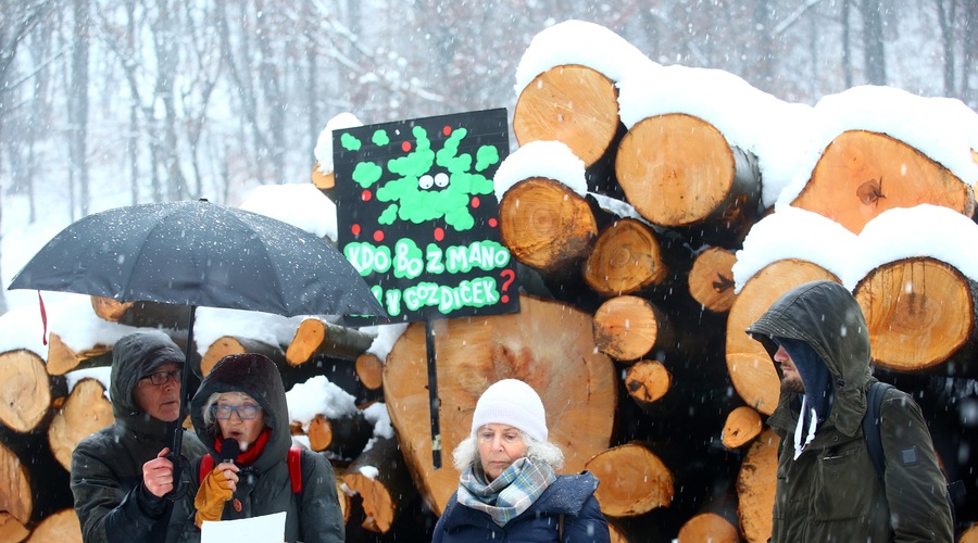 Buren odziv okoljevarstvenikov na sekanje dreves na Rožniku (foto: Borut Živulović/Bobo)