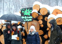 Buren odziv okoljevarstvenikov na sekanje dreves na Rožniku