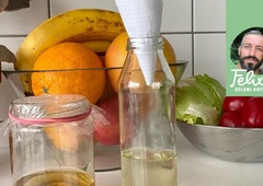 Kako se znebiti sadnih in mrtvaških mušic v stanovanju