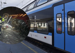 Vlak se je iztiril zaradi drevesa, poškodovani sta bili dve osebi: imamo vse informacije o nesreči vlaka v nočnih urah