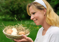 Bela ali rjava jajca? Kakšna je razlika in kaj je krivo za različne barvne odtenke