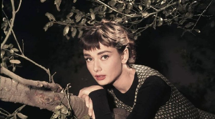 Mineva 30 let od smrti legendarne igralke Audrey Hepburn (foto: Twitter/cheyenenorah)