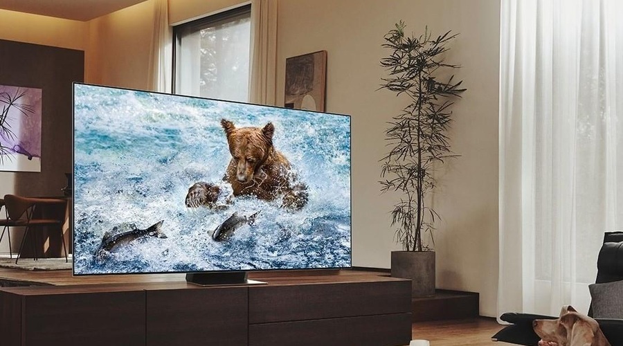 5 situacij, ko izjemna slika in odličen zvok poustvarita dogodek v živo in rešita dan (foto: Samsung)