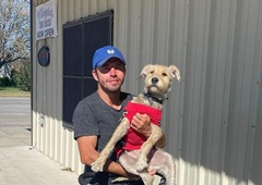 Največja pasja avanturistka v Sloveniji: pred štirimi leti životarila na ulici v Peruju, kmalu odhaja na pot okoli sveta