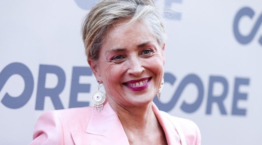 Sharon Stone v intervjuju: "Razen dveh so bili vsi igralski kolegi sovražni do žensk" (foto: Profimedia)