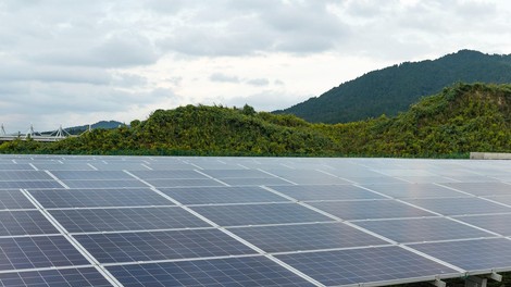 Največja sončna elektrarna v Sloveniji: kje naj bi jo gradili in kdo ji nasprotuje?