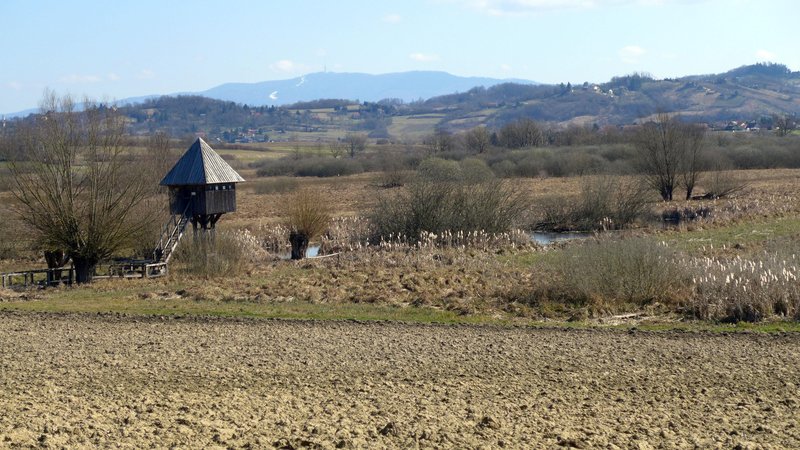 Občina Divača naj bi bila gradnji naklonjena, opozicijski del svetnikov ne, saj nasprotuje posegu v območje Nature 2000. (Fotografija je simbolična)