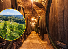 Koliko vina v enem letu popijemo Slovenci?