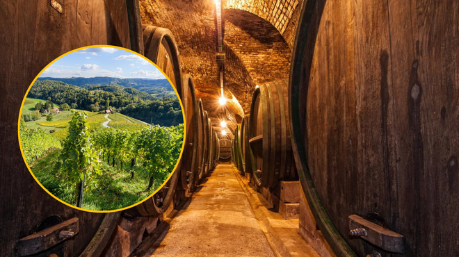 Koliko vina v enem letu popijemo Slovenci? (foto: Profimedia/fotomontaža)