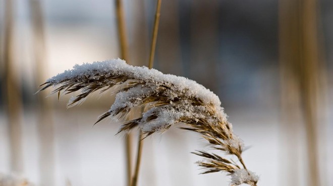Pred nami so hladni dnevi, temperature bodo padle pod ledišče (foto: Profimedia)
