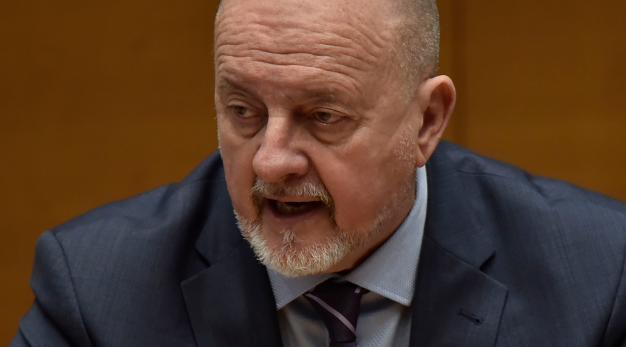 Zmago Jelinčič je pri prodaji trimilijonske vile naletel na težave (foto: Žiga Živulovič jr./Bobo)