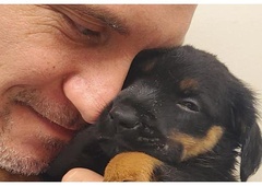 Stanje glede zapuščenih živali v Sloveniji je alarmantno, pomagajmo jim najti topel dom