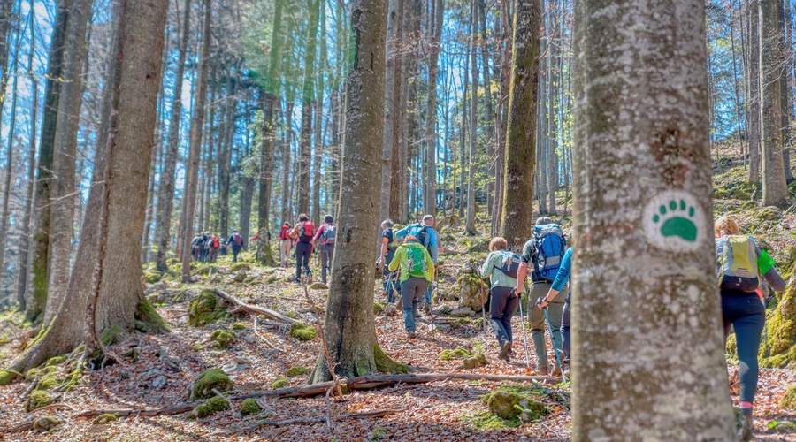 Eden najtežjih pohodov v Sloveniji razprodan v nekaj urah: v čem je tako poseben? (foto: Društvo POMS)
