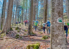 Eden najtežjih pohodov v Sloveniji razprodan v nekaj urah: v čem je tako poseben?