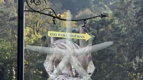 Zooparku Rožman inšpektorji začasno prepovedali prikazovanje živali