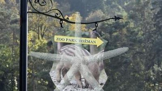 Zooparku Rožman inšpektorji začasno prepovedali prikazovanje živali (foto: Bobo)