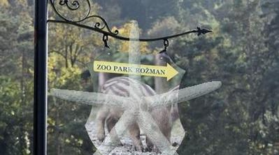 Zooparku Rožman inšpektorji začasno prepovedali prikazovanje živali (foto: Bobo)