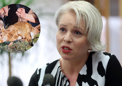 Urška Klakočar Zupančič z redkobesedno, a 'močno' izjavo nad nagačenega zajca na odru državne proslave