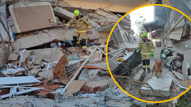 Slovenski heroji požrtvovalno v Turčiji: psi so že zaznali življenja pod ruševinami (FOTO) (foto: Twitter/Uprava za zaščito in reševanje/fotomontaža)
