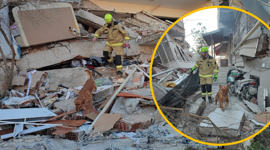 Slovenski heroji požrtvovalno v Turčiji: psi so že zaznali življenja pod ruševinami (FOTO) (foto: Twitter/Uprava za zaščito in reševanje/fotomontaža)