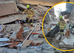 Slovenski heroji požrtvovalno v Turčiji: psi so že zaznali življenja pod ruševinami (FOTO)