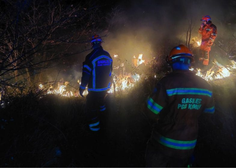 Cigaretni ogorek v Sloveniji zanetil 100 hektarov obsežen požar (FOTO)