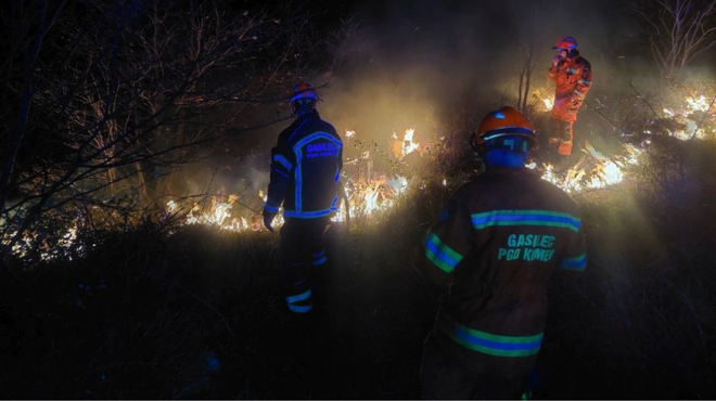Cigaretni ogorek v Sloveniji zanetil 100 hektarov obsežen požar (FOTO) (foto: Facebook/PGD Komen)