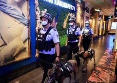 Na Kitajskem drogo odkrivajo prav posebne živali (nikoli ne uganete!)