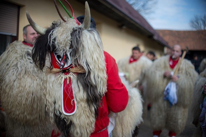 Kaj veste o kurentih? "Kurent nikoli ni bil in nikoli ne bo karnevalska maska"