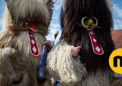 Kaj veste o kurentih? "Kurent nikoli ni bil in nikoli ne bo karnevalska maska"