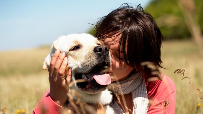 To je 5 načinov, s katerimi pes pokaže, da vas ima rad (foto: Profimedia)
