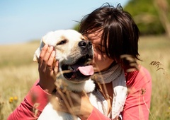 To je 5 načinov, s katerimi pes pokaže, da vas ima rad