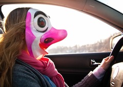 Pust polnih ust in praznih denarnic: če boste vozili zamaskirani, vas lahko doleti kazen (poglejte, kolikšna)