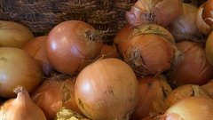 Že babice so trdile, da to zares pomaga: čez noč v nogavice vtaknite čebulo in izginile bodo težave, ki mučijo številne Slovence