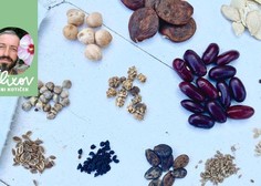 Ali veste, da obstaja več tipov semen? Za vas imamo razlago, katere vrste semen obstajajo