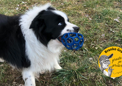 Šola žalovanja, Ferrisovo p(r)oslavljanje in šolske počitnice