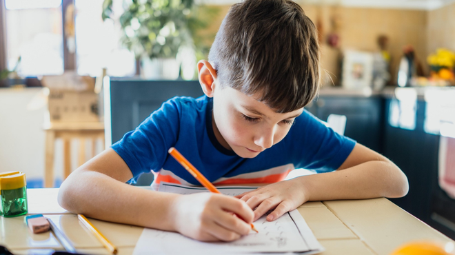 Vlada bi zaostrila šolanje na domu: otrokom hočejo naložiti kar 16 zaključnih izpitov! (Za to imajo prav bizaren razlog) (foto: Profimedia)