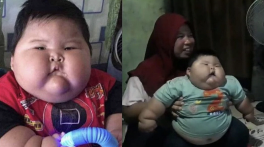Star ni niti leto in pol, tehta pa že skoraj 30 kilogramov (foto: Twitter/rtvklan)